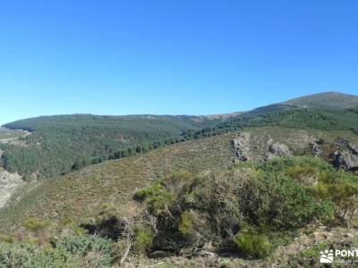 La Dehesa Bonita - Abedular de Somosierra; quedada singles madrid actividades sierra de gredos sende